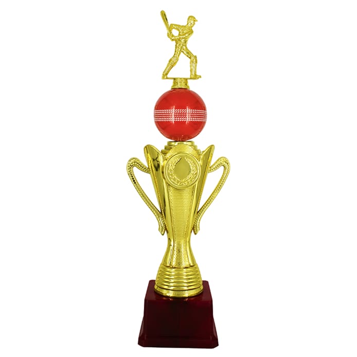 Metal & Fiber Trophy - KA1513