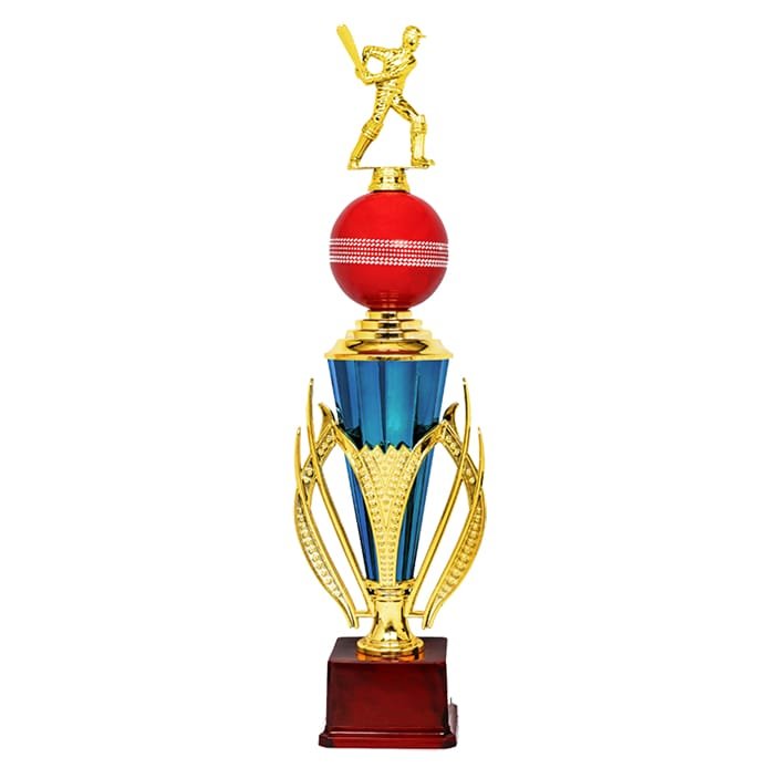 Cricket Trophy - KA1541