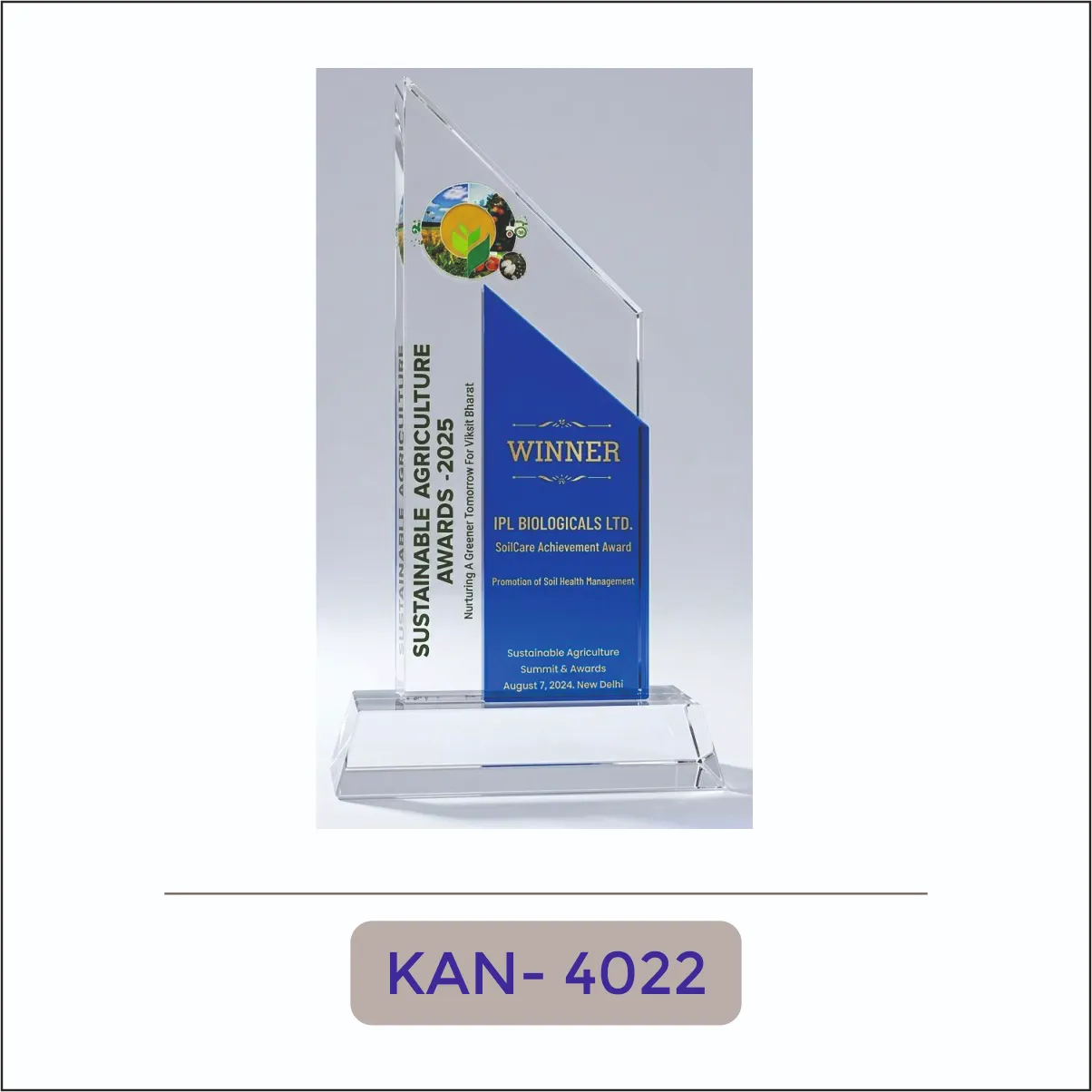 Acrylic Sustainability Award - KAN-4022