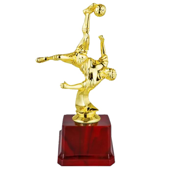 Fiber Trophy - KA1404