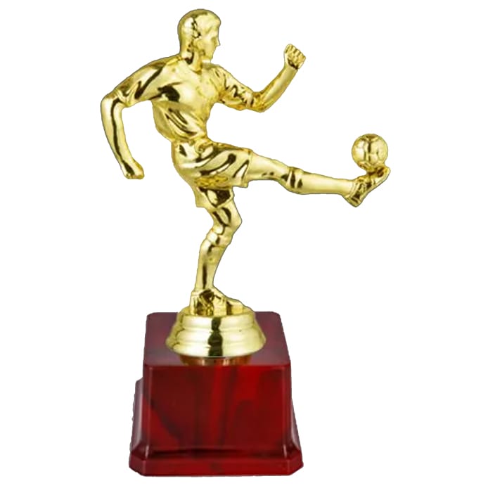 Fiber Trophy - KA1405