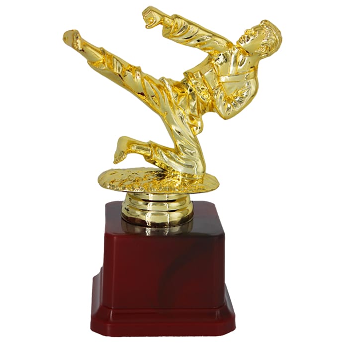 Fiber Trophy - KA1408