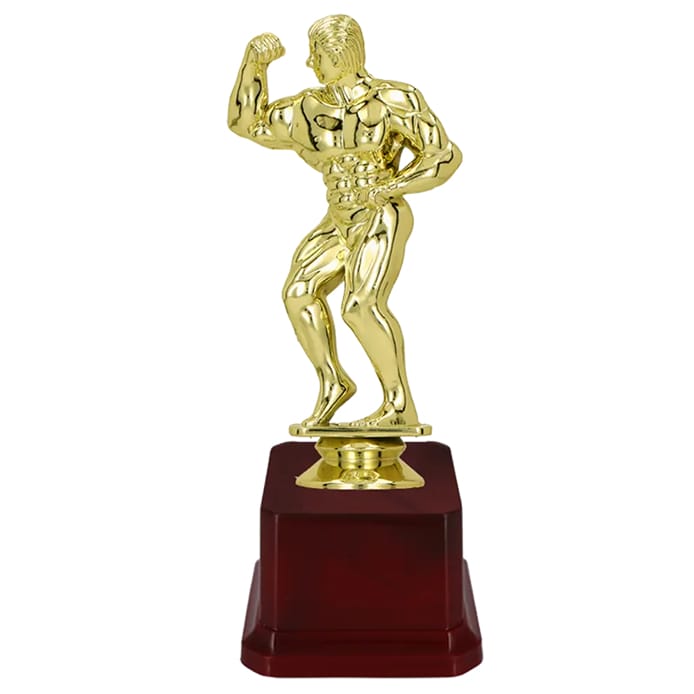 Fiber Trophy - KA1429